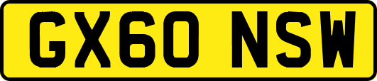GX60NSW