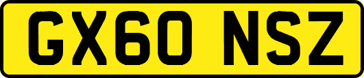 GX60NSZ