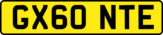 GX60NTE