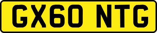 GX60NTG