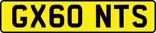 GX60NTS