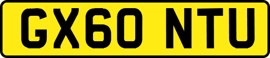 GX60NTU