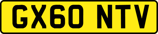 GX60NTV