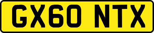GX60NTX