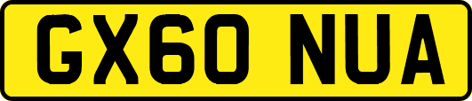 GX60NUA
