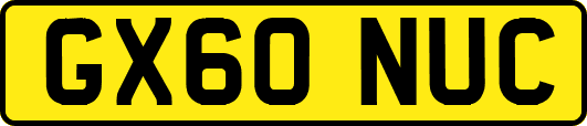 GX60NUC