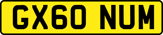 GX60NUM