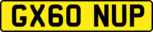 GX60NUP