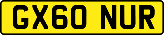 GX60NUR