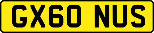 GX60NUS