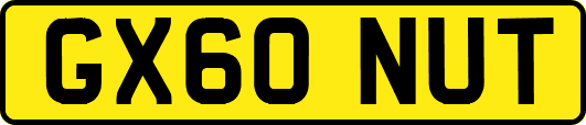 GX60NUT