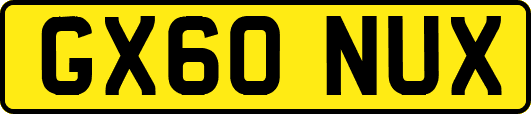GX60NUX