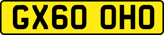 GX60OHO