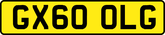 GX60OLG