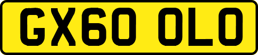 GX60OLO
