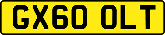 GX60OLT