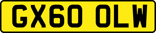 GX60OLW