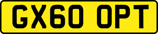 GX60OPT