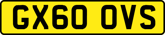 GX60OVS