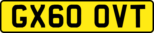 GX60OVT