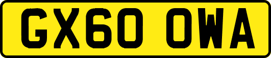 GX60OWA