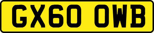 GX60OWB