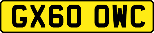 GX60OWC
