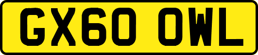 GX60OWL