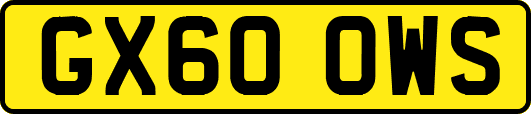 GX60OWS