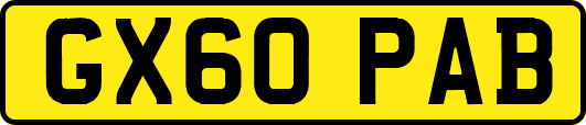GX60PAB