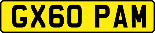 GX60PAM