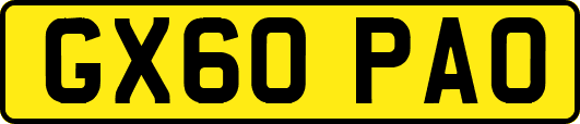 GX60PAO