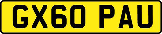 GX60PAU