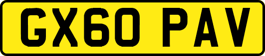GX60PAV