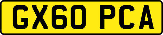 GX60PCA