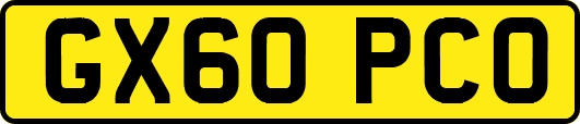 GX60PCO