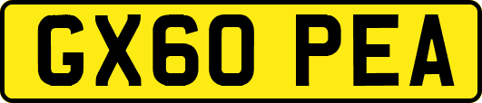 GX60PEA