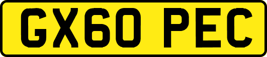 GX60PEC