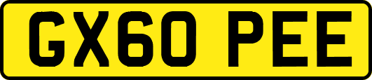 GX60PEE