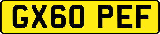 GX60PEF