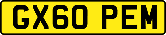 GX60PEM