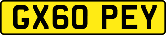 GX60PEY