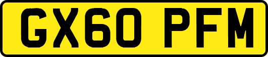 GX60PFM