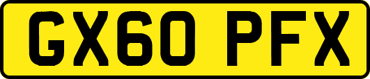 GX60PFX