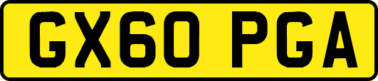 GX60PGA