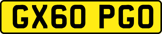 GX60PGO