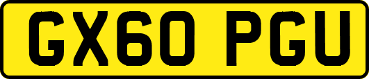 GX60PGU