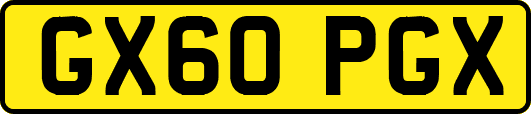 GX60PGX