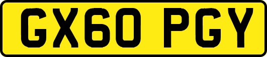 GX60PGY