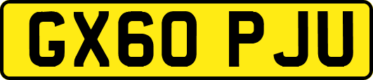 GX60PJU